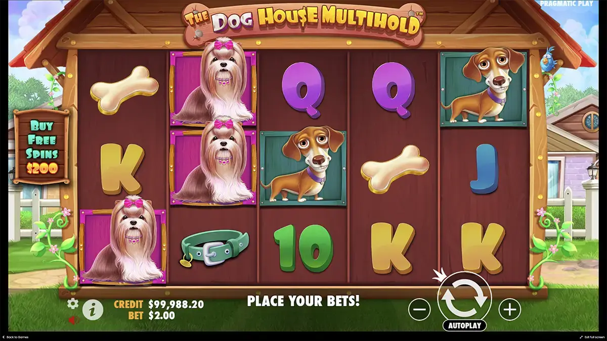 the Dog house уникальный игровой слот