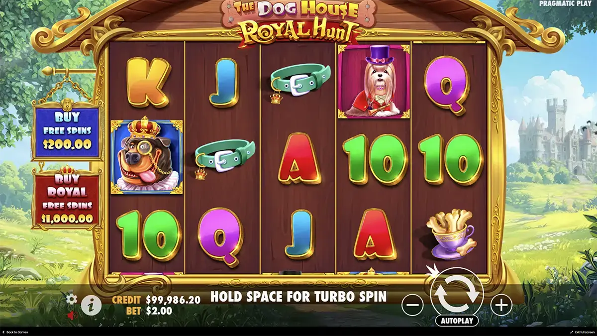 the Dog house royal hunt особенности